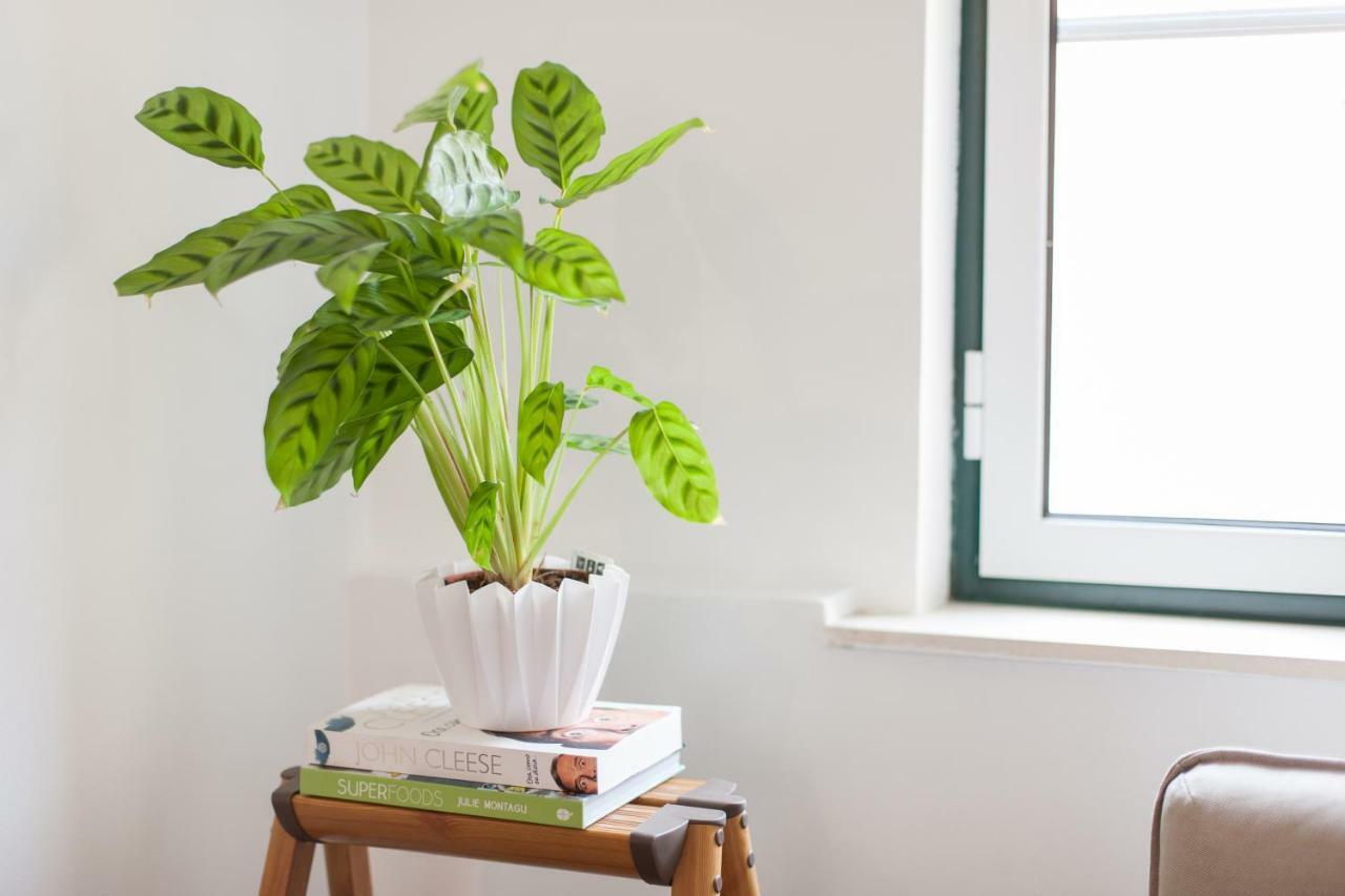 Martim Moniz Studio Apartments - By Lu Holidays Lisboa Ngoại thất bức ảnh